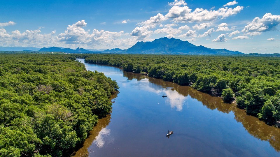 Biodiversidade