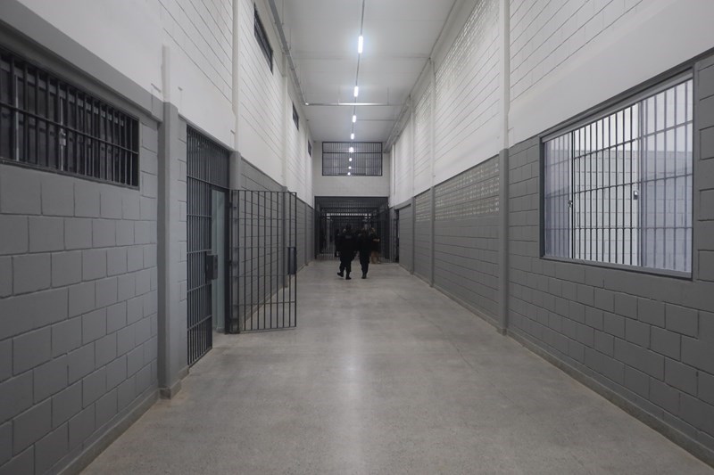Comitê-3