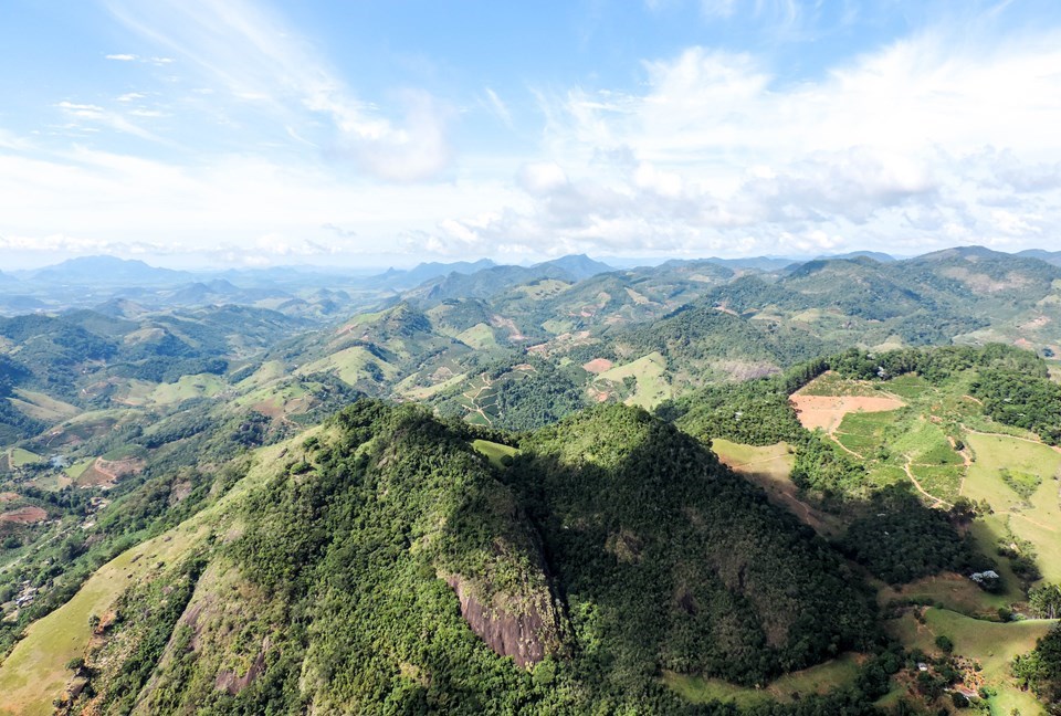 Mata Atlântica