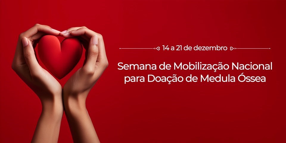 Medula Óssea