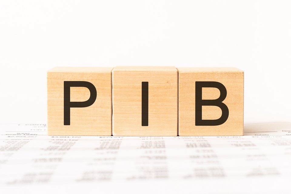 PIB-2
