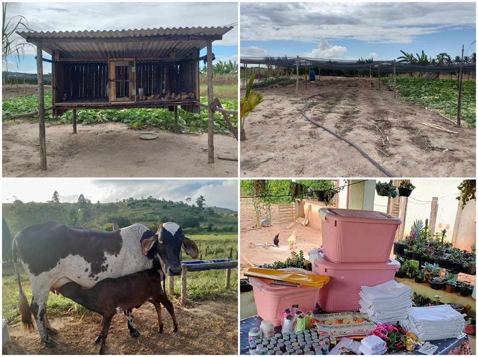Rural