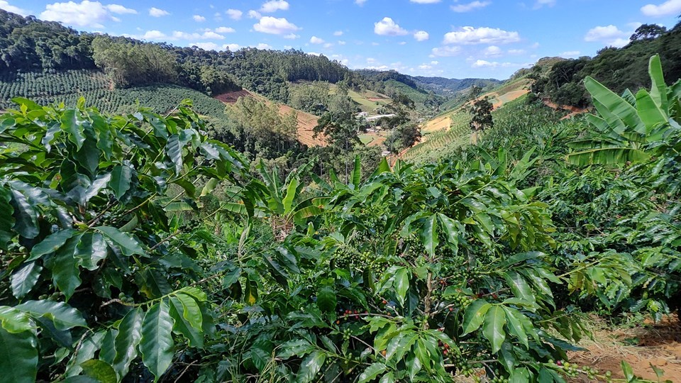 agricultura capixaba
