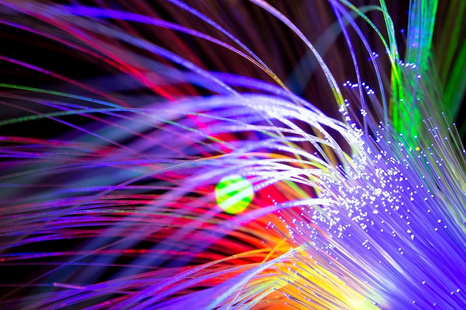 fibra_gov-1
