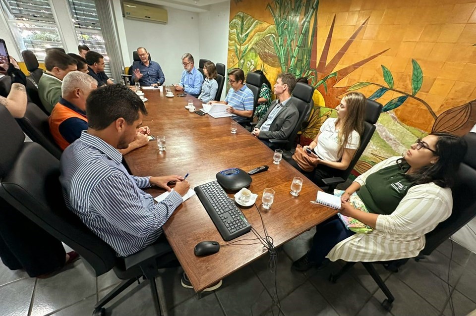 influenza aviária